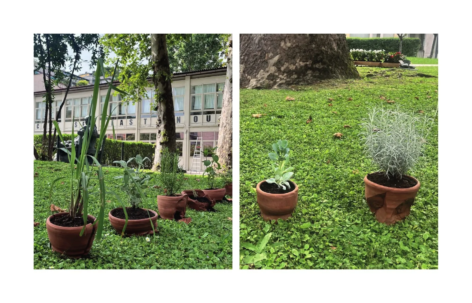 Nuova Vita — 2